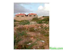 DHUL IIBA  HARGAYSA SOMALILAND - Image 1