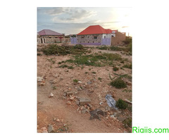 DHUL IIBA  HARGAYSA SOMALILAND - Image 2