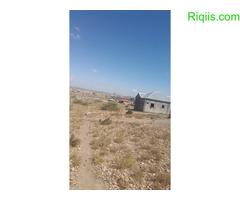 dhul iiba15m×30m = 450m2 land for sale - Image 2