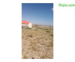 dhul iiba15m×30m = 450m2 land for sale - Image 3