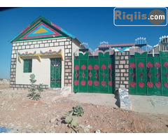 guri kiro goglan  Las Anad house for rent - Image 3