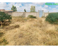 dhul banan oo iiba  dhan 570 kare land for sale - Image 1