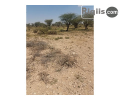 dhul iiba  18mx20m = 360m2 Hargeisa  land for sale - Image 3