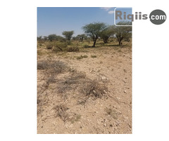 dhul iiba  18mx20m = 360m2 Hargeisa  land for sale - Image 1