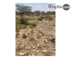 dhul iiba  18mx20m = 360m2 Hargeisa  land for sale - Image 2